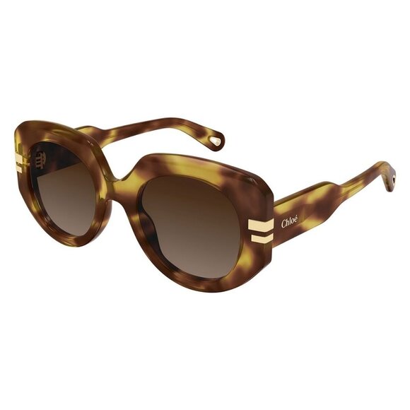 New CHLOE Havana Square CH0257S 002 Sunglasses Women - Picture 1 of 4